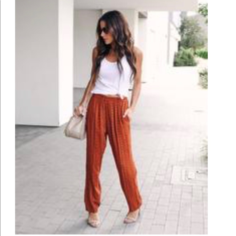 Vici spiced chai printed pocketed pants